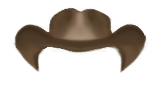 cowboy hat 2